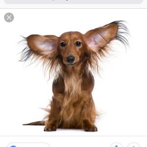 Meet your Posher, Chelsea